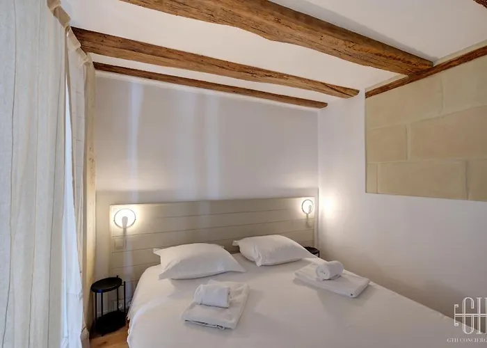 Apartament Le St Graal - 4v - Hyper Centre De